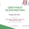 Powiększ obraz: certificate 4