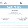Powiększ obraz: certificate 4
