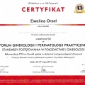 Powiększ obraz: certificate 11