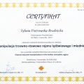 Powiększ obraz: certificate 8