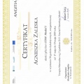 Powiększ obraz: certificate 3