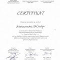 Powiększ obraz: certificate 9
