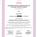Powiększ obraz: certificate 4