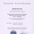 Powiększ obraz: certificate 6