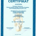 Powiększ obraz: certificate 7