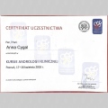 Powiększ obraz: certificate 13