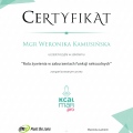 Powiększ obraz: certificate 17