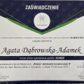 Powiększ obraz: certificate 5