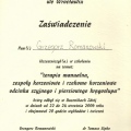 Powiększ obraz: certificate 13