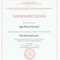 Powiększ obraz: certificate 5