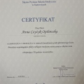 Powiększ obraz: certificate 33