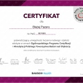Powiększ obraz: certificate 1