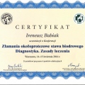 Powiększ obraz: certificate 11