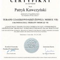 Powiększ obraz: certificate 9
