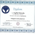 Powiększ obraz: certificate 3