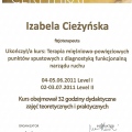 Powiększ obraz: certificate 9