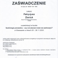 Powiększ obraz: certificate 9