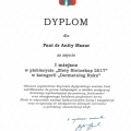Powiększ obraz: certificate 1