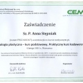 Powiększ obraz: certificate 2