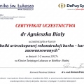 Powiększ obraz: certificate 3