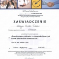 Powiększ obraz: certificate 4