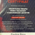 Powiększ obraz: certificate 1