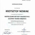 Powiększ obraz: certificate 24
