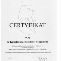 Powiększ obraz: certificate 4