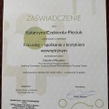 Powiększ obraz: certificate 7