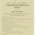 Powiększ obraz: certificate 11