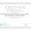 Powiększ obraz: certificate 4