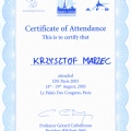 Powiększ obraz: certificate 1