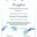 Powiększ obraz: certificate 23