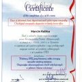 Powiększ obraz: certificate 9
