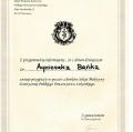 Powiększ obraz: certificate 8