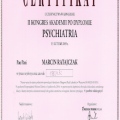 Powiększ obraz: certificate 13