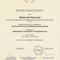 Powiększ obraz: certificate 2