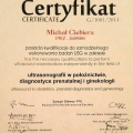 Powiększ obraz: certificate 6