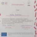 Powiększ obraz: certificate 7