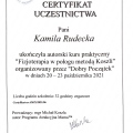 Powiększ obraz: certificate 36