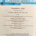 Powiększ obraz: certificate 28