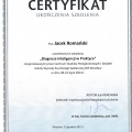 Powiększ obraz: certificate 9