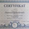 Powiększ obraz: certificate 8