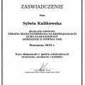 Powiększ obraz: certificate 2