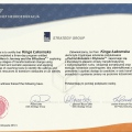 Powiększ obraz: certificate 8