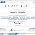 Powiększ obraz: certificate 4