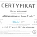 Powiększ obraz: certificate 10