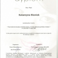 Powiększ obraz: certificate 11