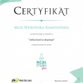 Powiększ obraz: certificate 15