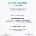 Powiększ obraz: certificate 13